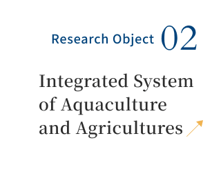 Research Object 01Seafood and Aquaculture System