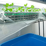 Production System with Affinity for Land-based Aquaculture