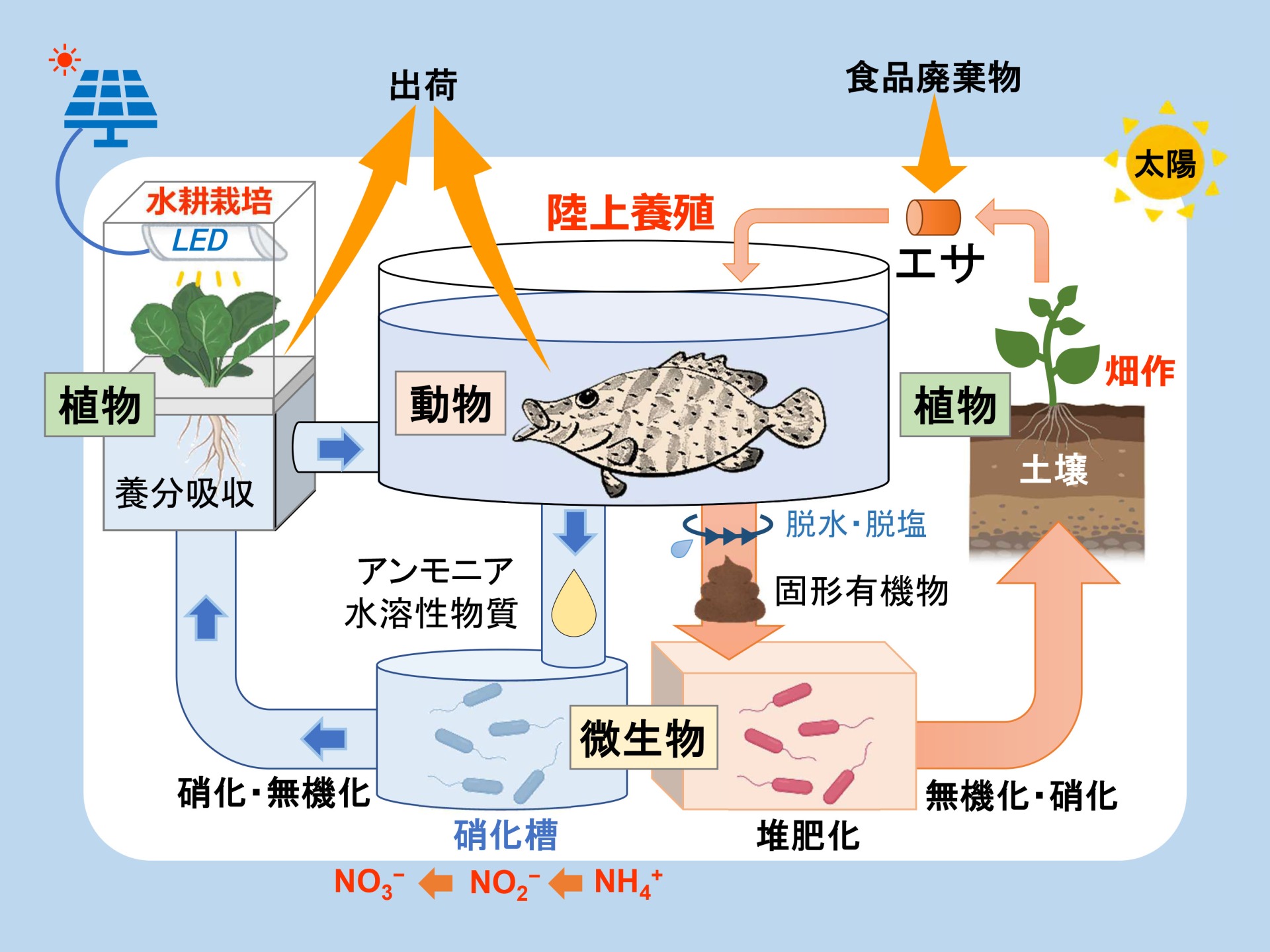 農水一体型物質循環式陸上養殖システム