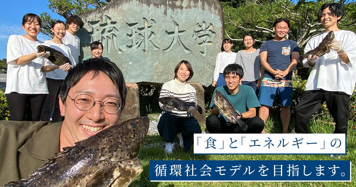 ★ジャコ出品★ ペルリ来琉、はと航空3種速達、琉球政府創立、大学植林 ☆ジャコ様専用出品☆ ペルリ来琉、はと航空3種速達、琉球政府