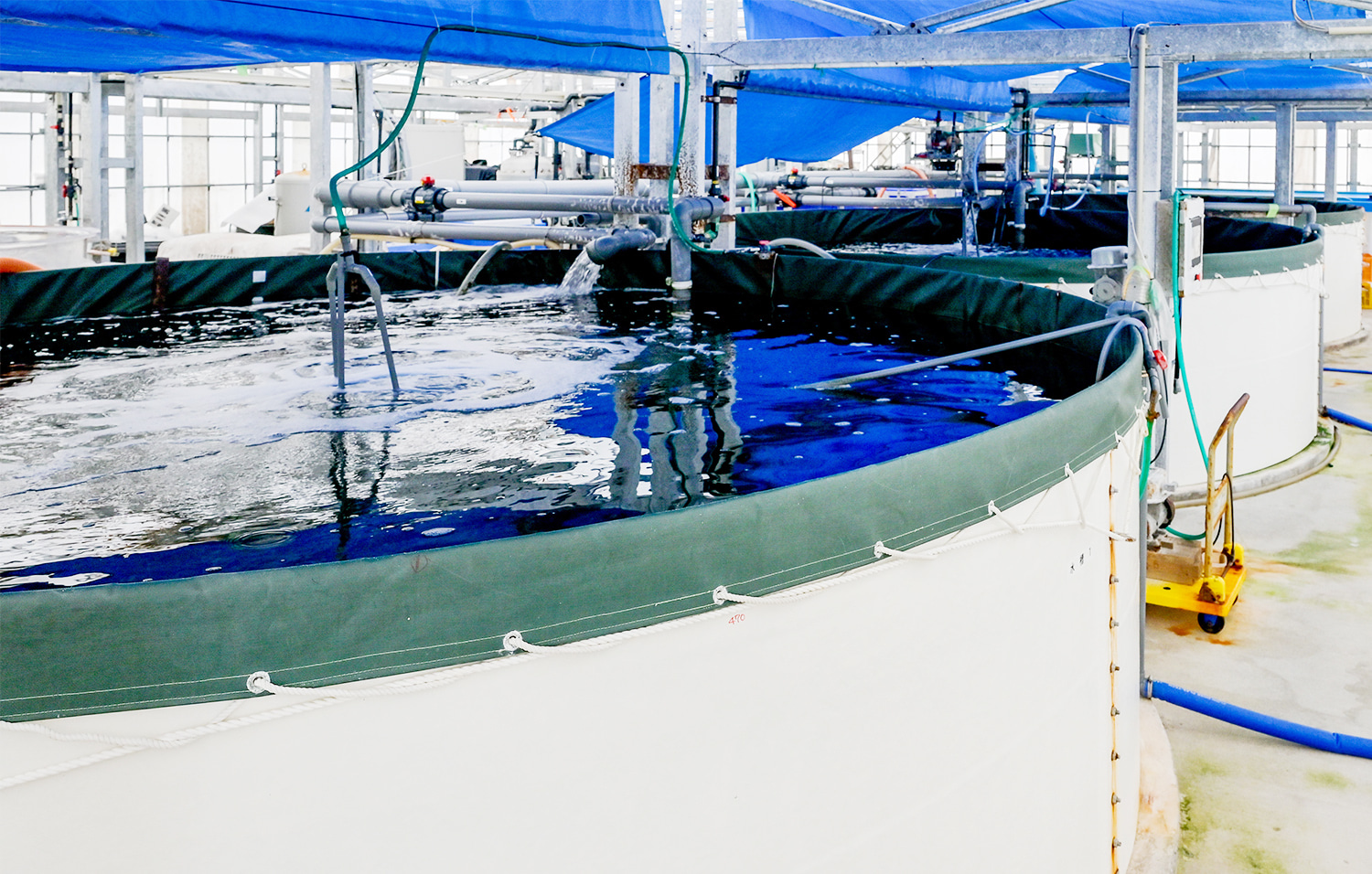 Research Object　Closed Recirculating Aquaculture Systems Development