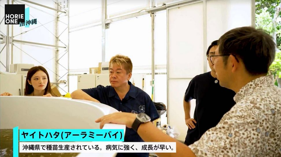 【NewsPicks動画公開】琉大ミーバイプロジェクト紹介│日本経済の起爆剤となるか？沖縄スタートアップ最前線