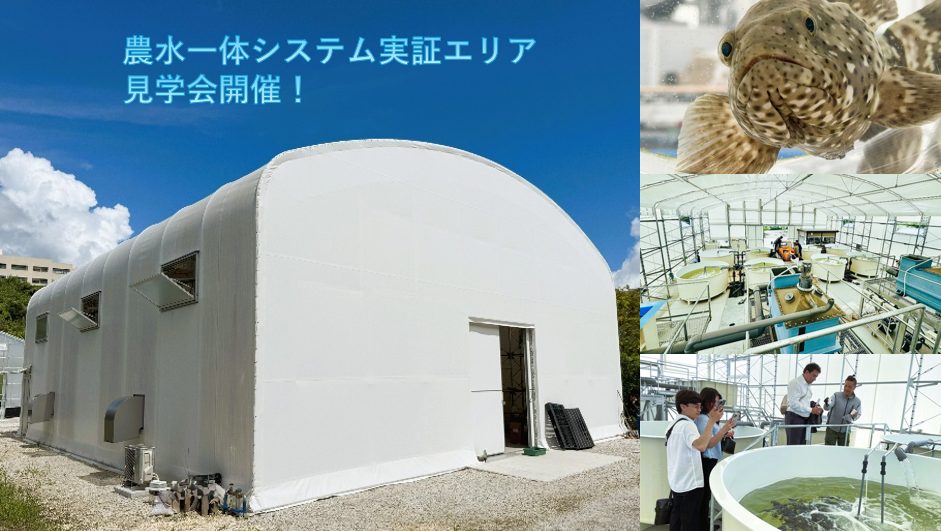 琉球大学養殖技術研究センター農水一体システム実証エリアOPEN記念見学会