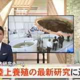 【動画公開│沖縄テレビ（OTV）】琉大研究チーム　陸上養殖の最新研究に迫る
