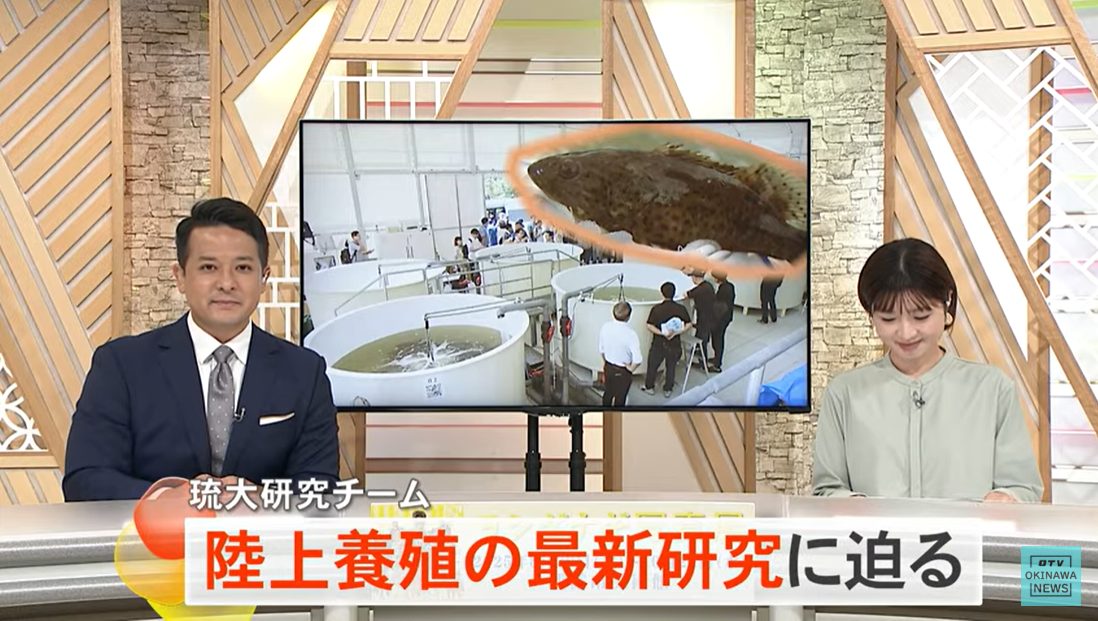 【動画公開│沖縄テレビ(OTV)】琉大研究チーム 陸上養殖の最新研究に迫る